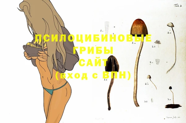 первитин Балахна