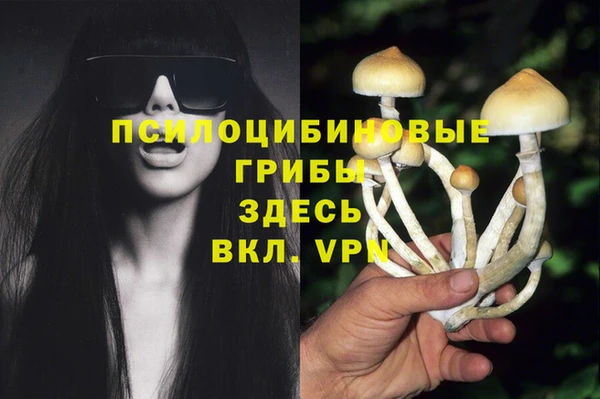 ГАЛЛЮЦИНОГЕННЫЕ ГРИБЫ Балабаново