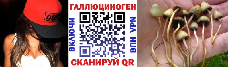 сколько стоит  Демидов  Галлюциногенные грибы мухоморы 